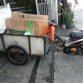 Bản