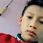 khỉ 