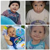 Cung