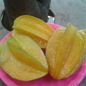 Kết