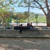 Gậy