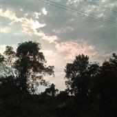 Ngư