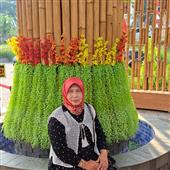 Truy