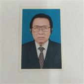 Gấu 