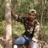 Liên