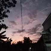 lấy
