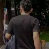 Trực