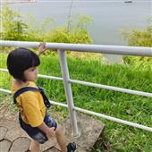 Sự t