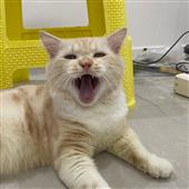 888