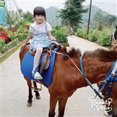 Bàn