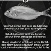 Đua