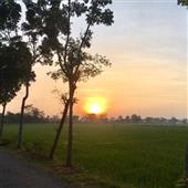 số 