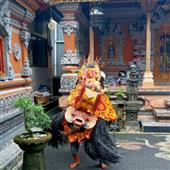 Luật