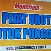 giả