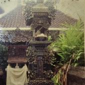 Luật