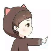 Gấu 