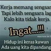 Xem