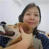 Luật