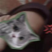 Kèo