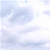 Vua 