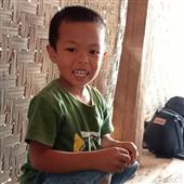 Cung