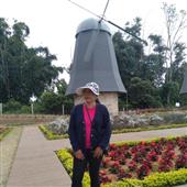 Vươn