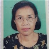 Cung