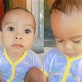 Poin