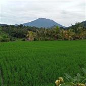 Nhà 