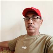 Cược