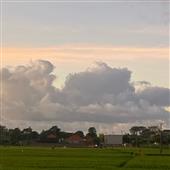 Ngộ