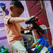 Sự T