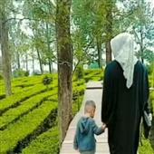 Quyề