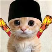 Sách