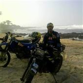 Chỉ 
