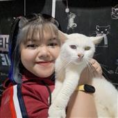 Dự b