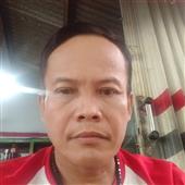 Ngựa