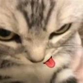 Ký 