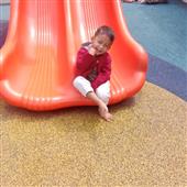 Alic
