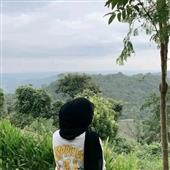 Vua