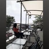 Chỉ 