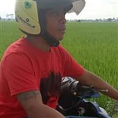 Mơ 