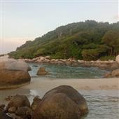 Tỷ 