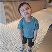 Guồn