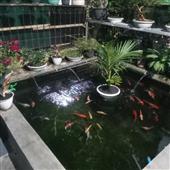 Chiế