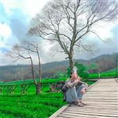 Tỷ 