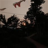 Dập 