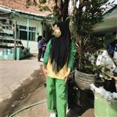 Tôm