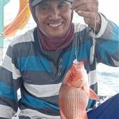 Chiế