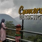 Cung